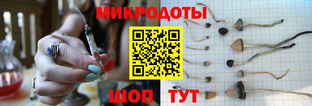 Псилоцибиновые грибы GOLDEN TEACHER  Вход с VPN  Прохладный 