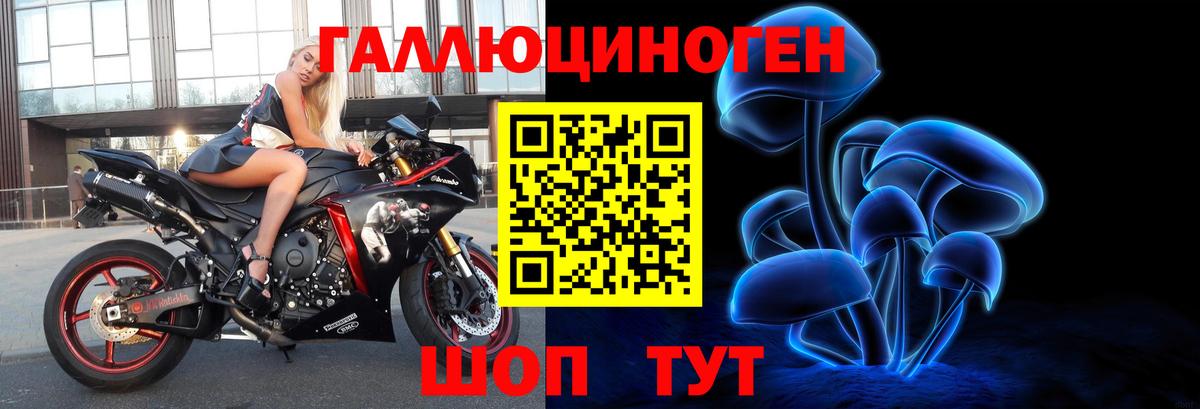 Галлюциногенные грибы Cubensis Прохладный